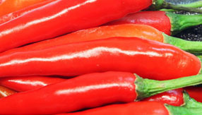 企业定制版的DDOS测试