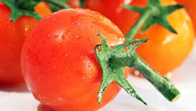 网页攻击器教程