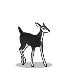 智能数据分析的{固定网站名称23}